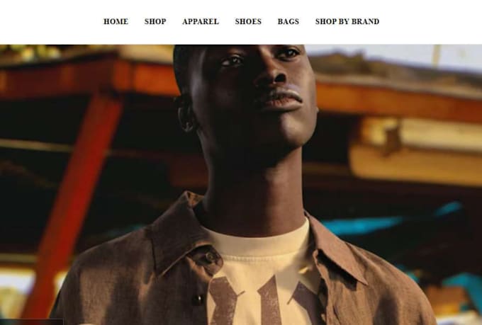 build profitable shopify store design and redesign, shopify sales expert